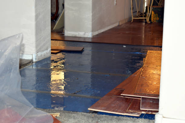 Professional Water Damage Restoration technician working in Holly, MI